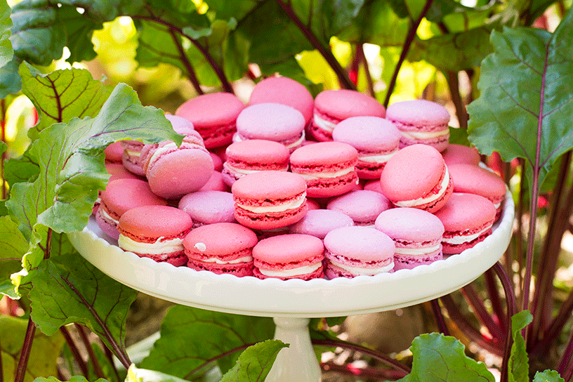 roze macarons op een wit plateau